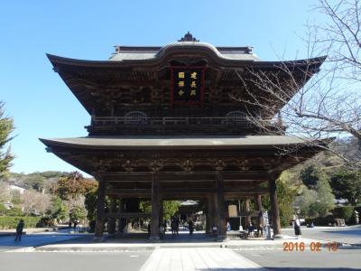 鎌倉アルプス（日帰りhike）