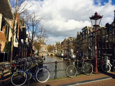 海外女子一人旅・ヨーロッパ３週間放浪旅行⑫【アムステルダム】猫博物館で写真撮りまくり＆アンネフランクの家で戦争を考える