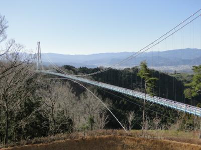 三島スカイウォークと久能山東照宮。