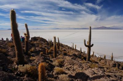 2015年冬季休暇　ボリビア旅行②　ウユニ塩湖