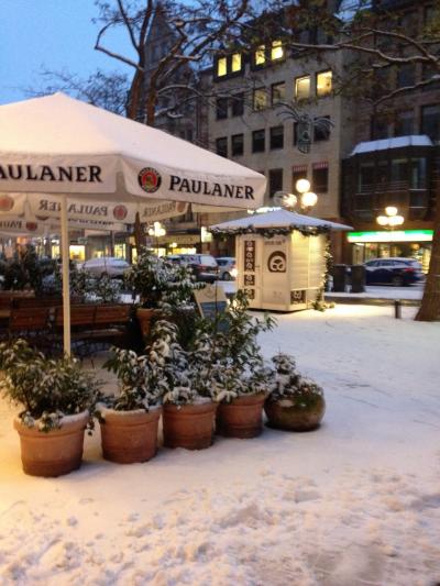 《2015年～2016年　年末年始　冬枯れのドイツ１５》　再びの　ニュルンベルク　は　雪景色