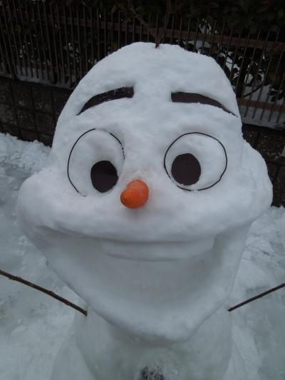 2015年お正月　滋賀　高島～今津は雪でした。