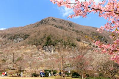 ちょっとだけ春を感じに～湯河原梅林・瀬戸屋敷（ひなまつり）～