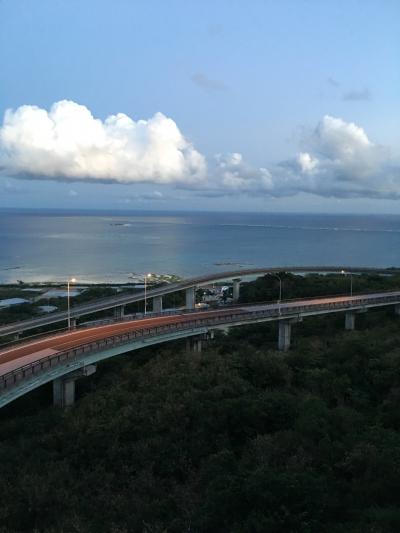 ≪2016.Feb≫あみんちゅ歴史に触れる旅沖縄本島その弐之壱～1日目：そして沖縄へ編～