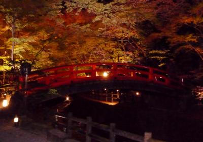 12月上旬　混雑を避けて・・・心静かに紅葉を愛でる京都・北野天満宮