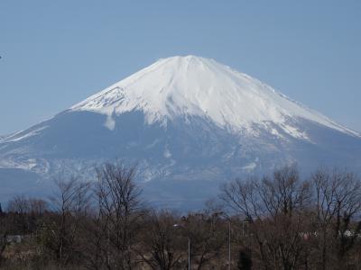 東名足柄ＳＡから富士を眺める。富士山は冬がいい。