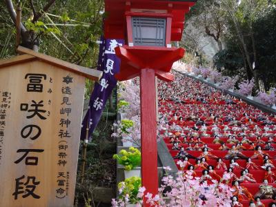 【阪急交通社】かつうらビッグひな祭りと頼朝桜まつり 東京ドイツ村イルミネーション 日帰り