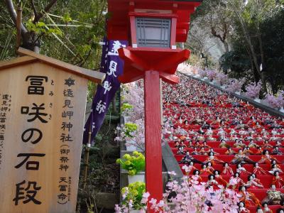 【阪急交通社】かつうらビッグひな祭りと頼朝桜まつり　東京ドイツ村イルミネーション　日帰り