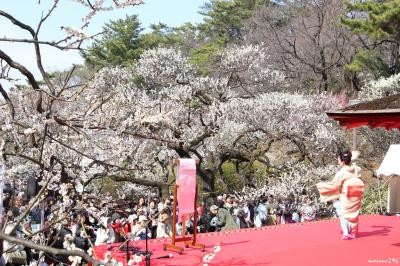 横浜・大倉山観梅会 2016