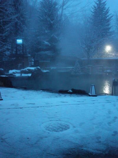 北湯沢　緑の風　で骨休み