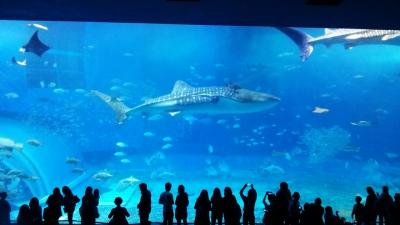 ２泊３日のんびり沖縄旅行