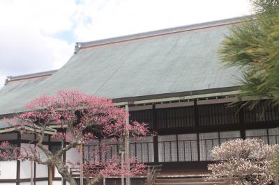 2016｢京の冬の旅（２泊３日）｣～最終日～