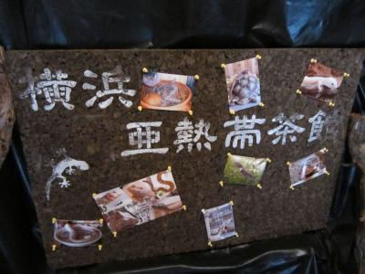 【横浜】野毛山動物園&爬虫類カフェ