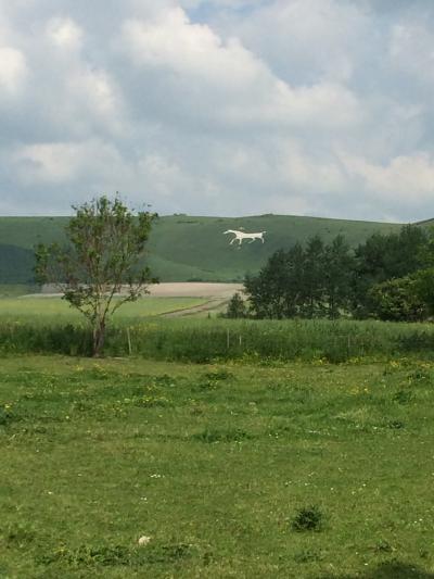 イギリス：UK2014-Wiltshire（ウィルトシャー州）～ドイツでの結婚式からハネムーンイギリスへ⑨　セントマイケルズレイラインの旅－４　ヒルフィギュア（ホワイトホースの地上絵）～