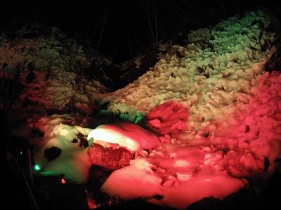 冬の芸術あしがくぼ氷柱ライトアップを見に行きました！