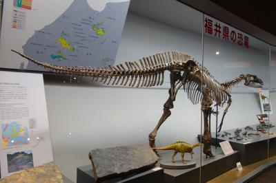 三連休は秋の乗り放題パスで恐竜博物館<まだまだ館内編・地味だけど凄い福井>