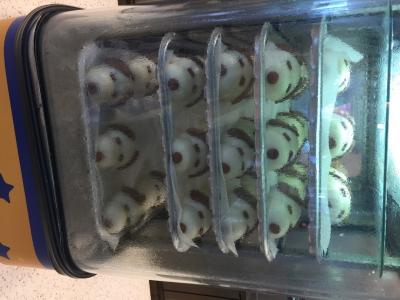 2016日帰り大阪USJ