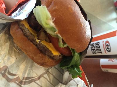 February 2016 - North Carolina, USA (from my camera roll)