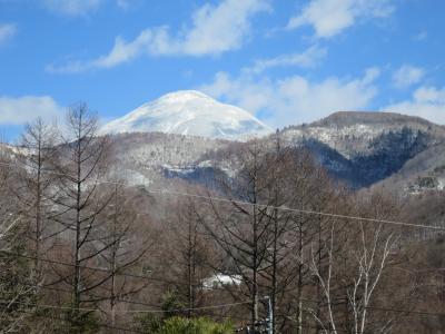 《現地集合・現地解散》　早春の蓼科