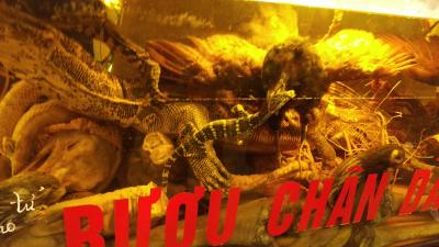 寒いハノイとマカオの旅①