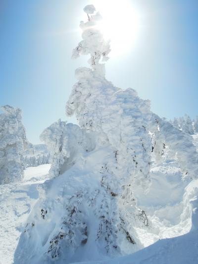 山形旅行2（樹氷-米沢上杉家ゆかりの地-かまくら村，他）