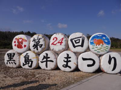 冬から春へ　八重山　島めぐり