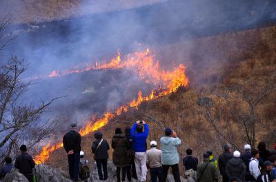 4度目の正直か、秋吉台の春の風物詩山焼きを見に行きました