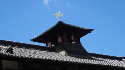 初めまして四国！道後温泉と松山市は本当にいいところです　03