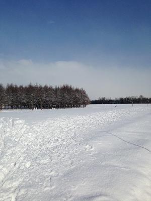 冬のモエレ沼公園