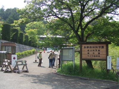 多摩森林科学園散策 2008/04/29