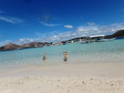 女一人旅@北パラワン コロン The Last Frontier : コロンタウン編