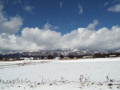 ２０１６年３月 佐渡島　その３　最終日　ほとんど朱鷺