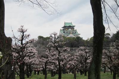 大坂城の梅と桃