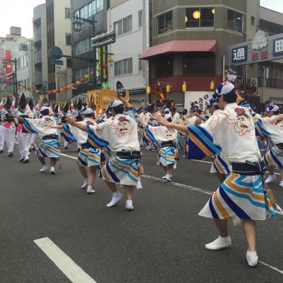 2015徳島県阿波踊り