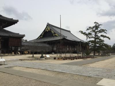 三重県津市・高田本山「専修寺」へのお散歩・癒しのワンデートリップ