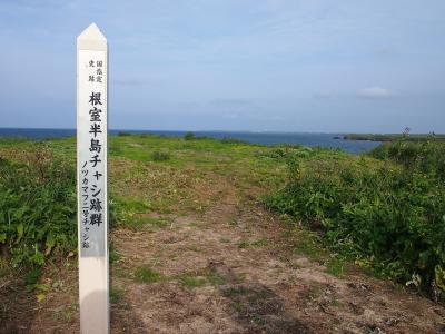 北海道旅行　その１　根室半島チャシ跡群、納沙布岬、東根室駅、車石