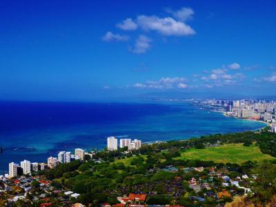 社員旅行で行く初JALの初ハワイ5日間の旅