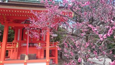 西本願寺～「梅の香」北野天満宮～城南宮