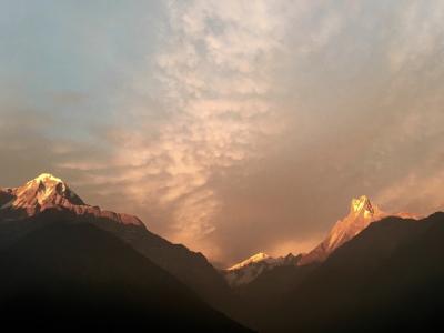 Gold Annapurna & Machapuchare