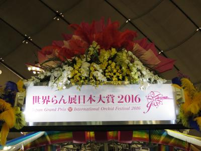 世界蘭展日本大賞２０１６と小石川後楽園