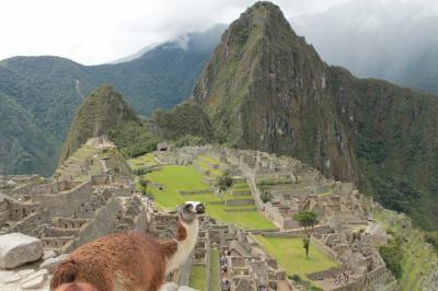 Machu Picchu② (Peru)