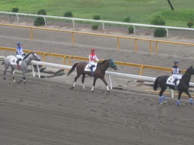 ＪＲＡ競馬学校の見学と模擬レース観戦