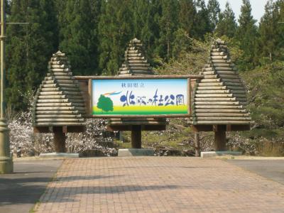 秋田県立北欧の森公園