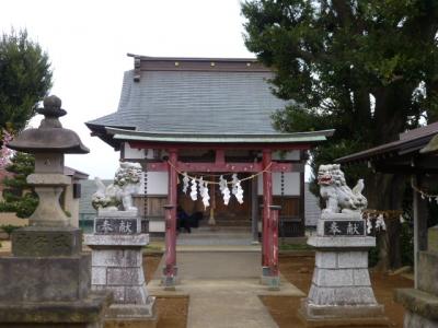 東雷神社で河津桜