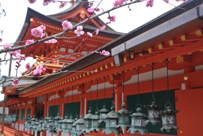 春の訪れを感じて・・歩く奈良