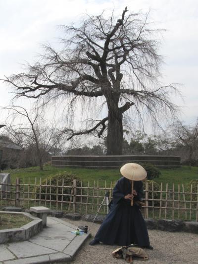 歩き疲れた京都観光（錦市場・祇園・八坂神社・円山公園・知恩院・青蓮院・哲学の道）