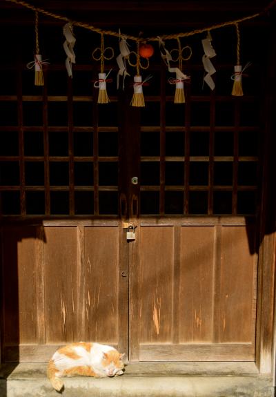 ★街十色～ 岡山 真鍋島 のいろ ねこのいろ　その１★