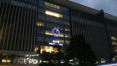 2016年1月九州旅行　【羽田→熊本→宮崎→羽田】　3日目