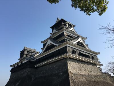 2月くまモン推しまくり熊本県で城巡り　③見どころ沢山外国人観光客も沢山の熊本城を半日がかりで見学
