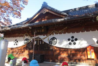 2015秋、松本神社：境内の古木、本殿、落ち葉掃除のお子さん達